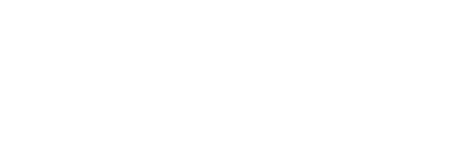 Practical AI Act Guide